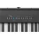 Roland® FP-30X 88 Hammer Action keys have 56 sounds per Bluetooth/MIDI/USB.