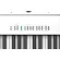Roland® FP-30X 88 Hammer Action piano piano with 56 sounds per Bluetooth/MIDI/USB + free adapter & onto a note ** Center insurance