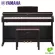 YAMAHA® YDP-164 Piano Fah 88 Key, CFX audio system for apps/headphones/USB, 10 tones, 60 songs + free legs & piano chairs
