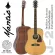 Mantic J-2, airy guitar 41 inches, authentic wood, all solid, authentic front, Engelmann Spruce, side wood/back wood Hokkani