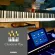 CASIO® PX-S1000 Piano Piano, Digital Piano 88, Hammer Action, with a built-in stereo speaker + free legs & chairs & keys