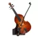 Paramount JBB Model Cello โมเดลจำลองเชลโล่ ทำจากไม้ชั้นดี สำหรับเป็นของขวัญนักดนตรีหรือผู้ที่ชอบเสียงเพลง Gift Box for M