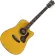 Mantic AG-620 CE 41-inch electric guitar, D-shadow coating, Sitka Squat/Mahokani + free, free bag & sash & ko