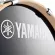 Yamaha® Stage Custom Birch SBP2F5 กลองชุด 5 ใบ ทำจากไม้เบิร์ช ไม่รวมอุปกรณ์ฮาร์ดแวร์, ฉาบ, แฉ, เก้าอี้ ** ประกันศูนย