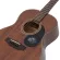 Saga® SP700M 41 inch acoustic guitar, full neck, full neck, Top Sol, Mahogy / Mahogany, coated with black nickel knob