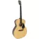 SAGA® SG700 41 inch GA GA GA, Top Solid Slide Square/Mahakani Wood, Coated Spa + Free Guitar & Capo & Set