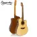 Barkuda D-300EQ 41 inch electric guitar /Mahogany wood Nickel silver knob