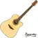 Barkuda D-300EQ 41 inch electric guitar /Mahogany wood Nickel silver knob