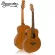 Baracuda GS1EQ, 36 -inch acoustic guitar, GS Mini shape, Mahogany wood, All Mahogany ** with a built -in cable for