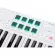 Arturia® Keylab Essential 61 MIDI Controller Couples 61 Key Key, famous-light key, can be used for both Mac/Windows per Pedal.