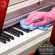 น้ำยาเช็ดคีย์บอร์ด Music Nomad Keyboard Cleaner ขจัดรอยนิ้วมือ ฝุ่น และสิ่งสกปรกได้อย่างปลอดภัย สูตรป้องกันไฟฟ้าสถิตย์ ของแท้ 100%