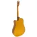 Mantic GT-10DC 41-inch guitar, Dreadnouguay shape Angle Mansprus/