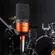 ESI® Cosmik 10 Microphone Mike Condenser Cardioid sound pattern responds to the frequency area 30Hz-18KHz + free legs & cable x