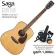 Saga® DS10 กีตาร์โปร่ง 41 นิ้ว ทรง D ไม้ท็อปโซลิดซิทก้าสปรูซ/ไม้มะฮอคกานี เคลือบด้าน + ฟรีกระเป๋ากีตาร์ & คาโป้ & ชุดน้ำ