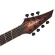 Jackson® Series Soloist SLAT7P HT MS กีตาร์ไฟฟ้า 7 สาย 24 เฟร็ต จัมโบ้ ไม้แอช ปิ๊กอัพ  Fishman® Fluence® แบบ HH เคลือบด้าน + แถมฟรีเคส ** ประกันศูนย์