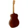 Mantic OM-1N Guitar, 40 inches, OM shape, Sprueus/Okme coated + free bag & kapok & pic