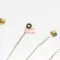 Alice® AW438-M 13 PHOSPHOR BRONZE Steel Steel material Copper wrap Good rust -proof coating of Tae