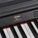Artesia® DP-3 Plus เปียโนไฟฟ้า 88 คีย์ คีย์แบบ Hammer Action มีเสียง 8 เสียง เพลงสาธิต 50 เพลง พร้อม Metronome ในตัว + ฟ