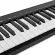 M-Audio® Keystation 49 MK3 Midi Midi Controller, Semi-Weightted key-wedal ​​key can be used.