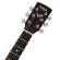 SAGA® SF700E 41 -inch electric guitar D shape Top Solid Spruce Electricity FishMan Isys II + Free thick guitar bag