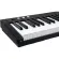 Pastel POP61 Digital Piano เปียโนไฟฟ้า 61 คีย์ มีไฟที่ลิ่มคีย์ 128 โทนเสียง ต่อบลูทูธได้ แบต&ลำโพงในตัว + แถมฟรีอแดปเตอร์ & POP app ** ประกันศูนย์ 1 ป