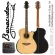 BARACUDA GW-600 EQ Electric Guitar 41 inch GA style Genuine Top Solid Stepper/Walnut Pickup Joyo Body Machine ** 1 year Insurance **