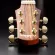 Walden® G630CE 41 -inch electric guitar, GA CUTAHAWAY TOP SOLID CEDAR, side wood and rosewood wood with Fishman + free guitar bags **