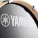 [สอบถามก่อนสั่ง] Yamaha® Stage Custom Birch SBP2F5 + HW780 กลองชุด 5 ใบ ทำจากไม้เบิร์ช มาพร้อมอุปกรณ์ฮาร์ดแวร์ ไม่รวม