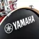 [สอบถามก่อนสั่ง] Yamaha® Stage Custom Birch SBP2F5 + HW780 กลองชุด 5 ใบ ทำจากไม้เบิร์ช มาพร้อมอุปกรณ์ฮาร์ดแวร์ ไม่รวม