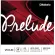 D'Addario® PRELUDE J812 4M, a separate violin cable A / Sai 2, 100% genuine VIOLINE STRING, Medium Tension, Solid Steel