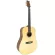 TAIKI T-D220 41-inch guitar, Dreadnough style, Top Sol, Annese Mansprus /Lancewood Golden Nickle knob ** guitar