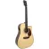 SAGA® D10CE 41 inch electric guitar D shape, concave neck, spruce/Mahogany, electricity, Fishman Isys II + free guitar bags &