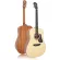 Mantic AG-1, airy guitar 41 inches, Dreadnough shape, shadow coating, Sita Sprus/Okome + free bag & tuner & kapo & pi