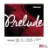 D'Addario® Prelude J813 4 / 4M, D / Line 3, 100% Violin String, Medium Tension, Solid Steel C