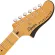 Fender® Squier® Classic VIBE STARCASTER SEMI-Hollow 22 Fret Body, Maple Maple, Maple, Fen