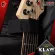 [Bangkok & Metropolitan Region Send Grab Urgent] Electric guitar Bags KLAW Kegbfs1 Black [Insurance from Zero] [With QC check] [100%authentic] [Free delivery] Red turtle