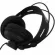 Carlsbro Closed-Back Headphone, large earphone headphones, gold plated head, changing into a small jack head, DCN8 Black ** 1 year center insurance **