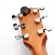 D'Addario® PW-3T-12 NS Micro Headstock Guitar Tuner Guitar Location Hidden on the guitar head
