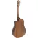 Mantic GT-10DC 41-inch guitar, Dreadnought Cutaway, Top Sol, Angel Mandrus/Cherry Wood+ Free Bag & Kapo & Pik & Pack