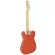 Maya MTE-60 กีตาร์ไฟฟ้า ทรง Tele 22 เฟรต ไม้อัลเดอร์/เมเปิ้ล ปิ๊กอัพซิงเกิ้ลคอยล์ สไตล์วินเทจ ** Japan Since 1970 **