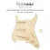 RASVONE SPG100, Pick Card, Strat, SSS, SSS, Alnico V, Circuit, Strat PickGuard WITH WIRING / PICKUP PATTERN 3X S