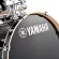 Yamaha® Stage Custom Birch SBP2F5 กลองชุด 5 ใบ ทำจากไม้เบิร์ช ไม่รวมอุปกรณ์ฮาร์ดแวร์, ฉาบ, แฉ, เก้าอี้ ** ประกันศูนย์ 1 ปี **