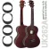 COCO Ukulele Size Tenor Model Model UK262A Tenor Ukulele ** Using Aquila **