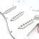 RASVONE SPG103 Piccard Electric Guitar Strat SSS Circuit Circuit with Strat Pickguard with WIRING / PICKUP PATTERN 3X Single Coil