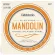D'Addario® EJ67, Mandolin No. 11, Nickel -Pected Steel 100% Medium, 11 - 39 ** Made in USA **