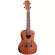 Caesar U243 Concert Ukulele อูคูเลเล่ ไซส์ Concert 24 นิ้ว ไม้ Sapele ฉลุลวดลายน่ารัก เคลือบด้าน + แถมฟรีกระเป๋าอูคูเลเล่