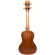 Caesar U243 Concert Ukulele อูคูเลเล่ ไซส์ Concert 24 นิ้ว ไม้ Sapele ฉลุลวดลายน่ารัก เคลือบด้าน + แถมฟรีกระเป๋าอูคูเลเล่