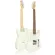 Maya MTE-60, Electric guitar 22 Frets Alder/Maple Pickles, Single, Vintage Coil ** JAPAN SINCE 1970 **