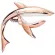 Dreammaker® CP8 CPO Capo, guitar, Capo, good shark shape, can be used for both airy guitar, classic guitar