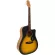 Mantic AG-1C, 41-inch guitar, Dreadnouguay shape